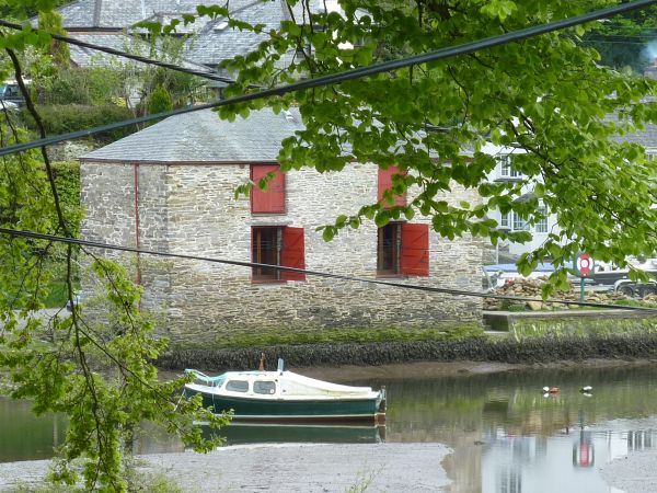 Red Store booking online